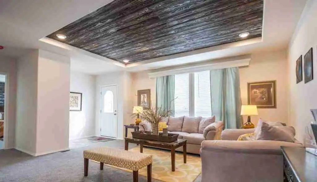 custome-luxury-features-trey-ceilings-1