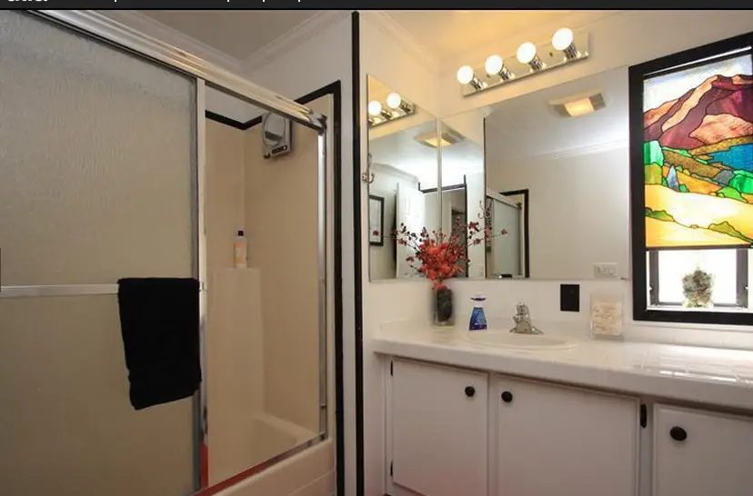 Sensational Single wide decor (bathroom 2)